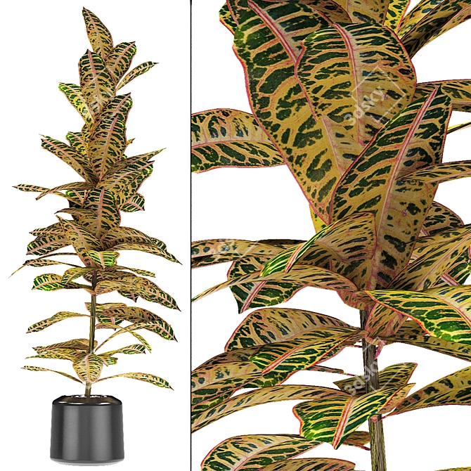 Exotic Plant in Pot: Tropical Elegance 3D model image 2