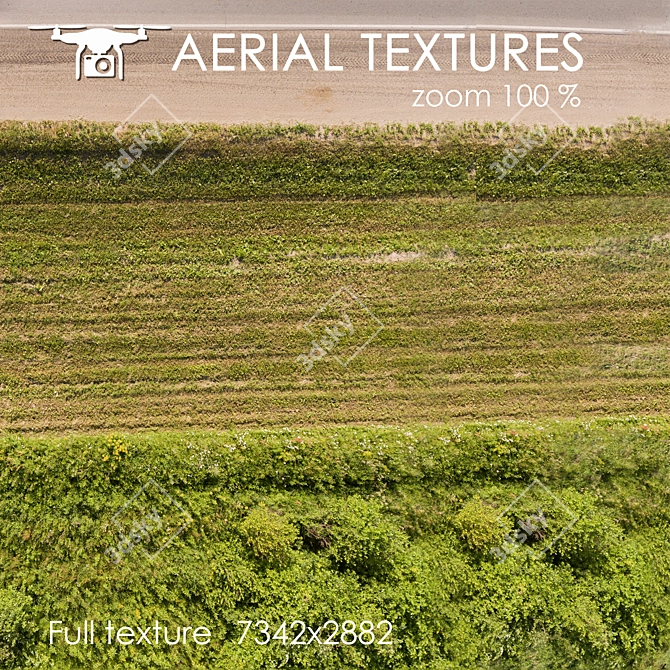 Drone-Captured Field Texture 3D model image 3