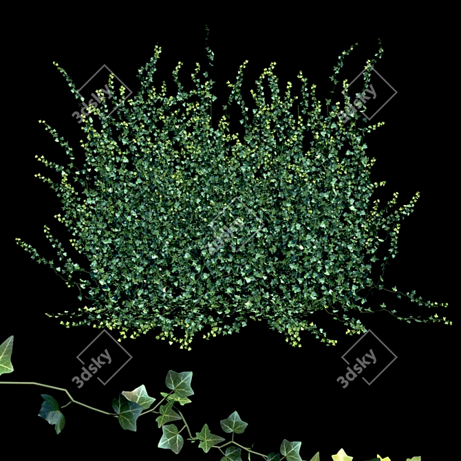 Lush Hedera Ivy Garland 3D model image 1