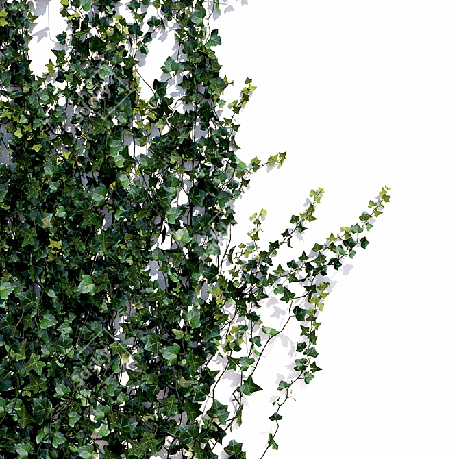 Lush Hedera Ivy Garland 3D model image 2