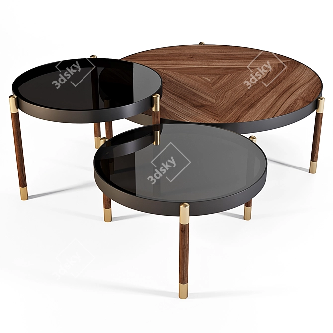 Sleek and Stylish: Meroni and Colzani Coffee Tables 3D model image 1