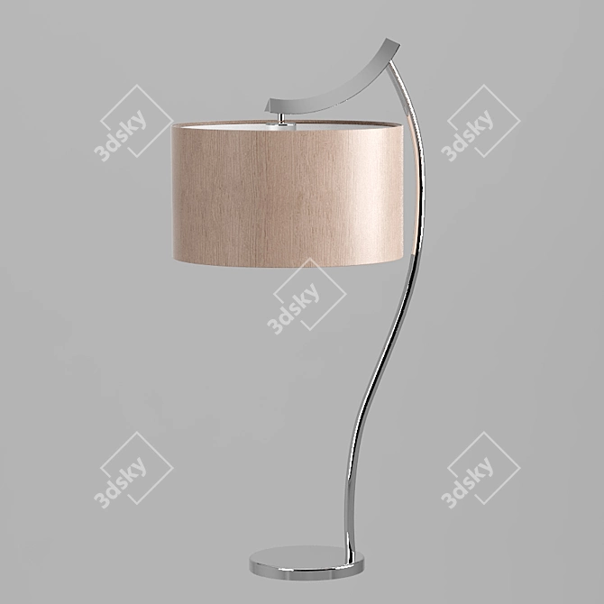 Elegant Light with Versatile Shade 3D model image 1