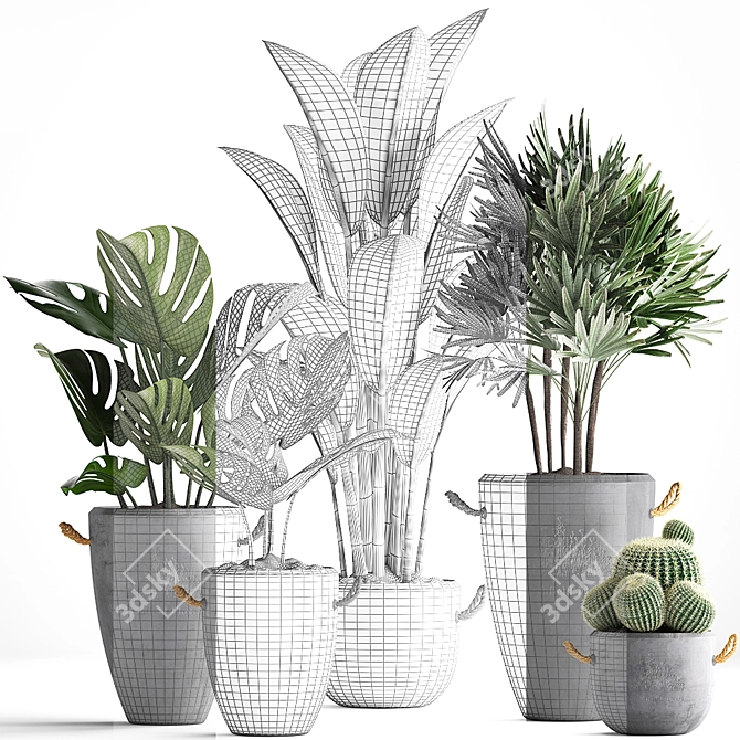 Exotic Houseplant Collection 3D model image 3