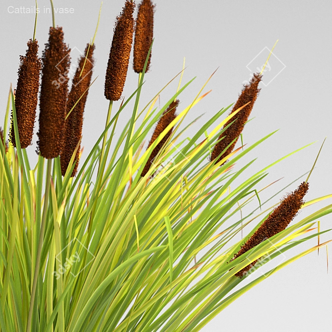 Title: Wild Mood Cattails in Vase 3D model image 2