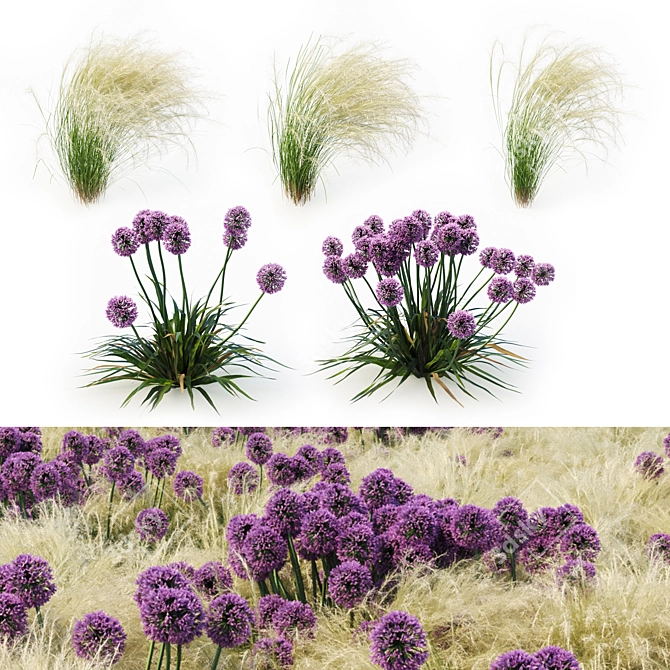 Procedural Landscape Elements: Grass & Allium Variations 3D model image 1