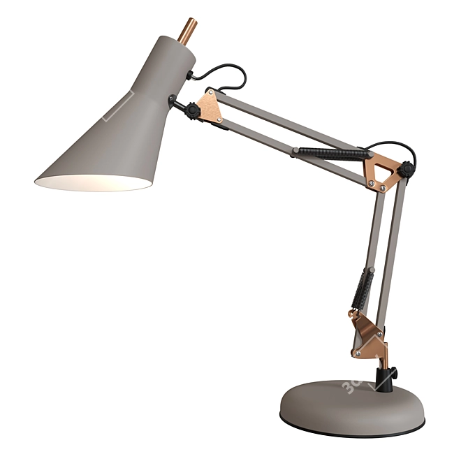 Gray Office Table Lamp - Norden 01032/1 3D model image 1