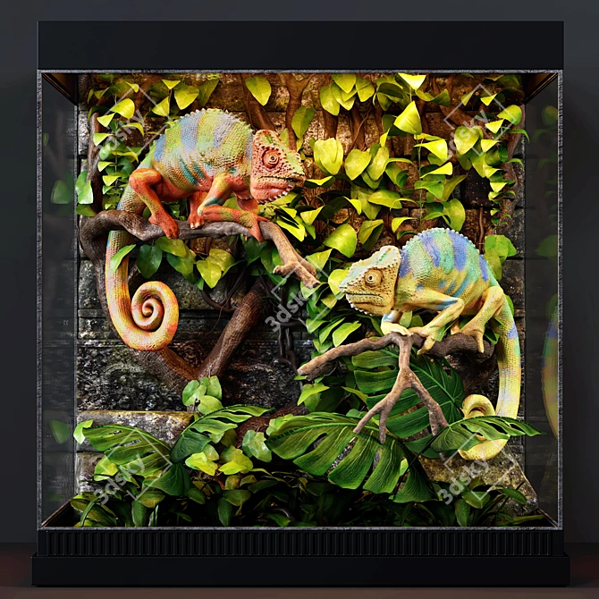 Tropical Chameleon Terrarium 3D model image 1