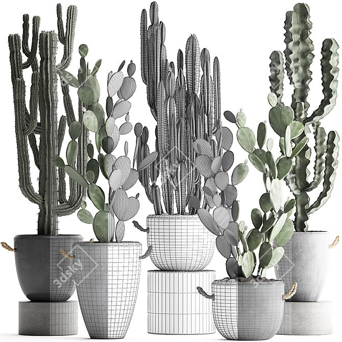 Exotic Cacti Collection 3D model image 3