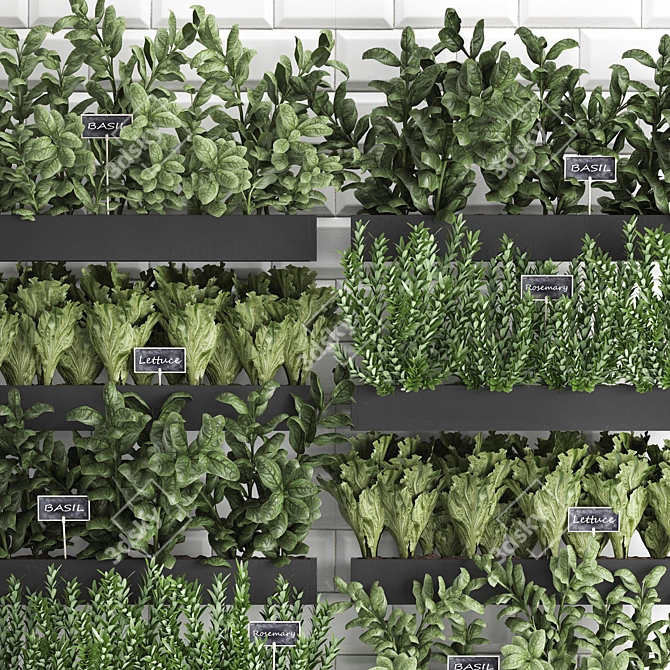 Vertical Garden: Exotic Houseplants & Herbs 3D model image 2