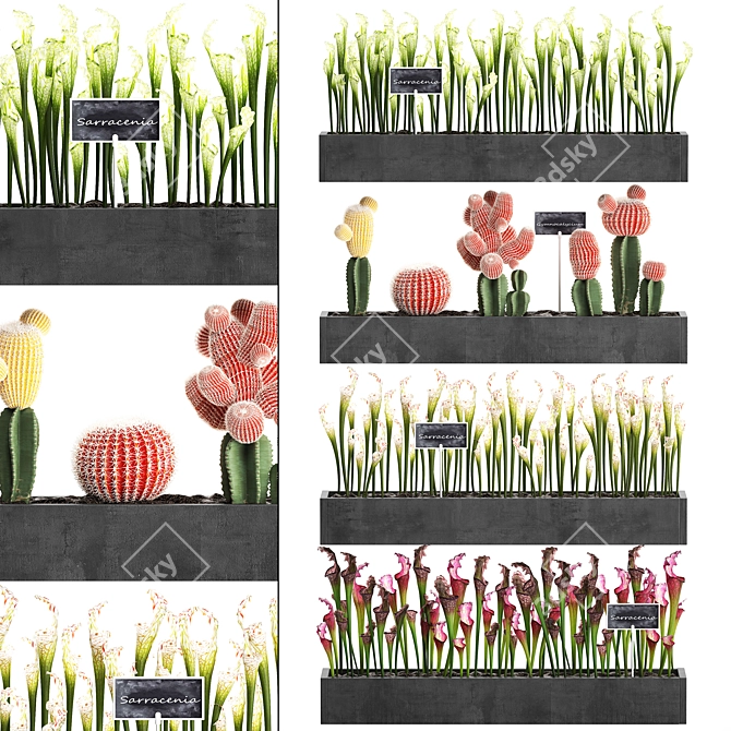 Vertical Greening Kit: Exotic Houseplants 3D model image 1