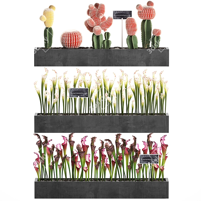 Vertical Greening Kit: Exotic Houseplants 3D model image 2
