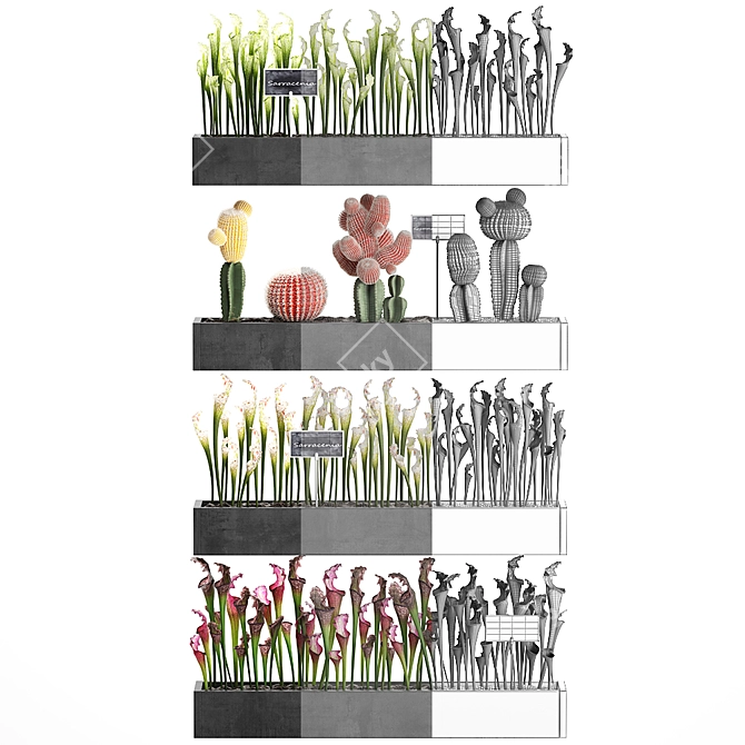 Vertical Greening Kit: Exotic Houseplants 3D model image 3