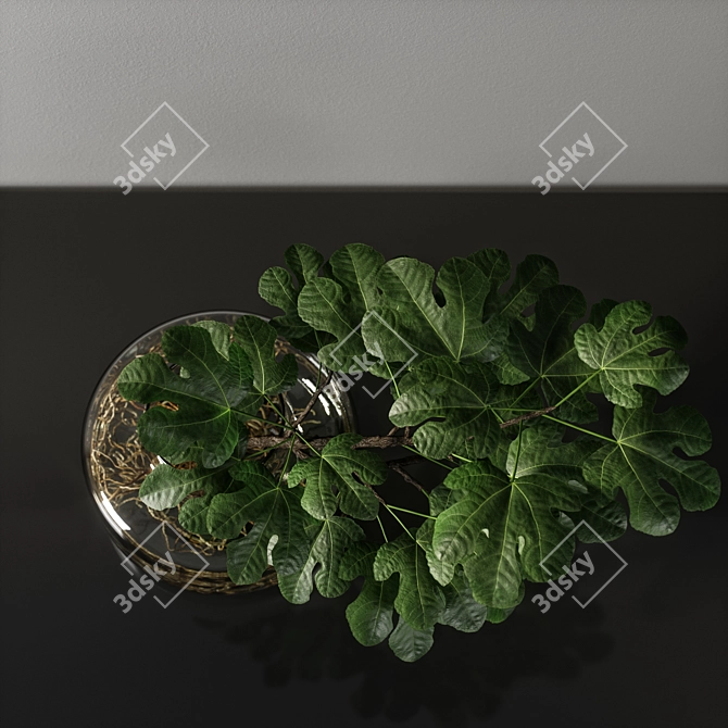 Elegant Vase - Decorative Masterpiece 3D model image 4