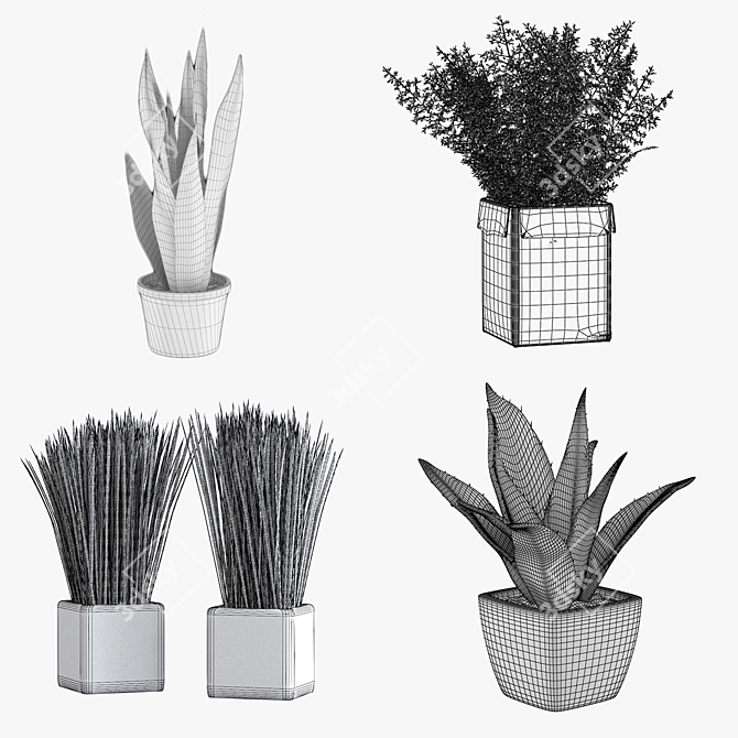 Green Oasis: Potted Houseplants 3D model image 2