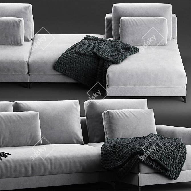 Luxury Rolf Benz 007 Nuvola Sofa Set 3D model image 2