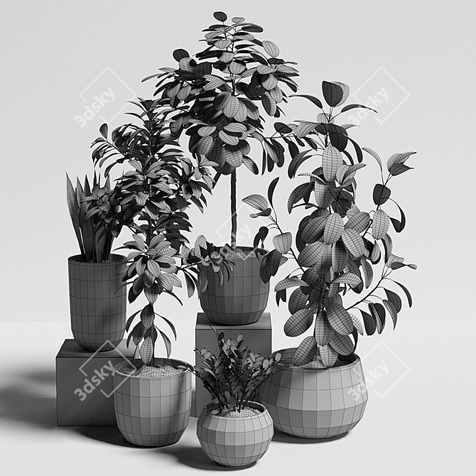 10-Piece Plant Set: UV Mapped for 3ds Max, OBJ, Fbx 3D model image 3