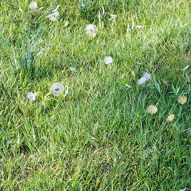 Realistic Translucent Grass for Landscaping 3D model image 3