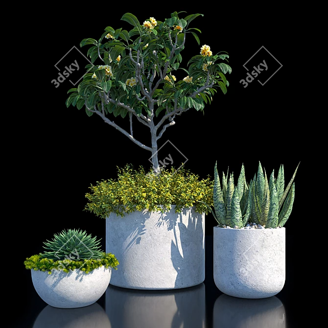 Assorted Plants Pack 3D model image 1