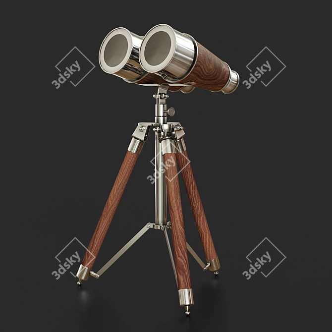 Victorian Era Decorative Binoculars 3D model image 1