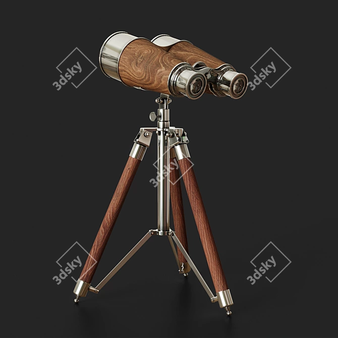 Victorian Era Decorative Binoculars 3D model image 2