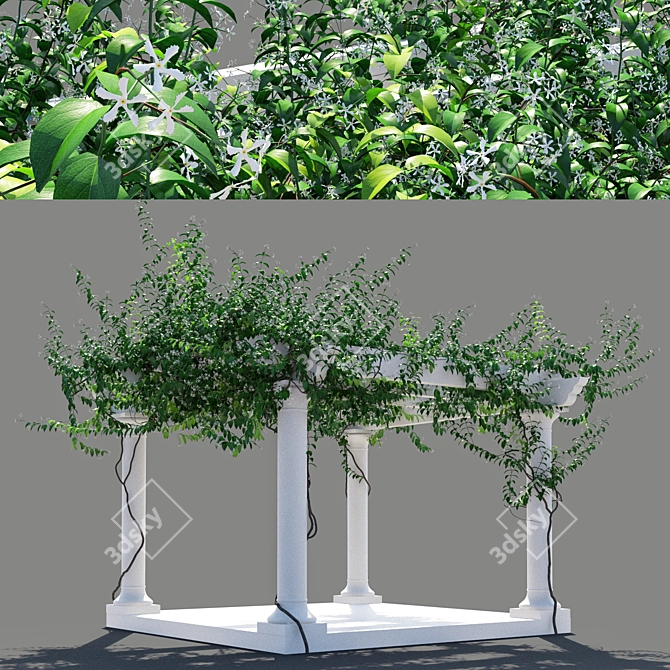 Trellis Jasmine Pergola: 5277 x 5974 x 4316mm 3D model image 3