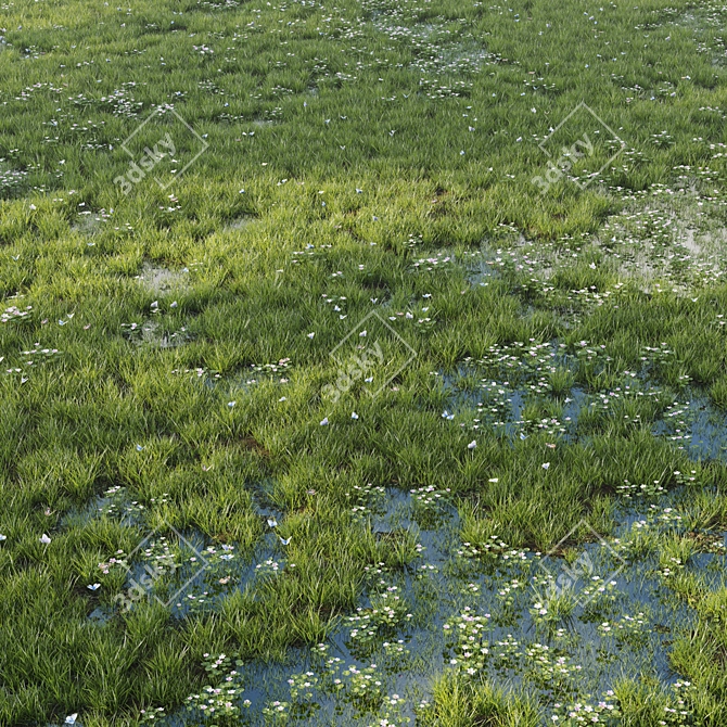  Grassy Oasis - Realistic Grass and Puddle Set 3D model image 2