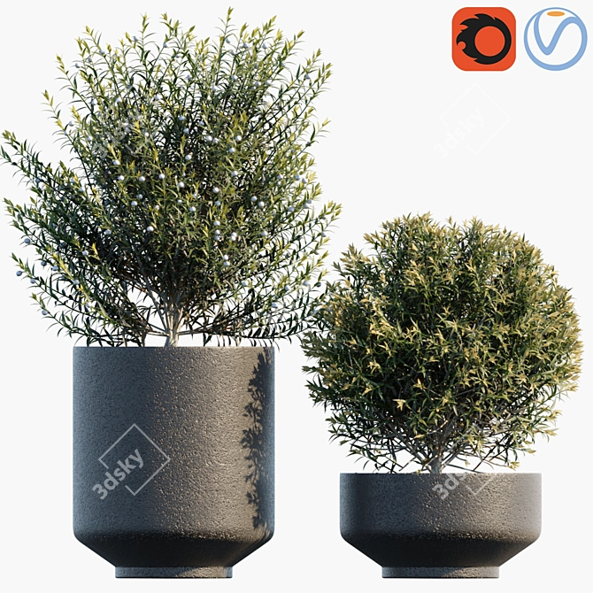 Garden Greenery in Pots 3D model image 1