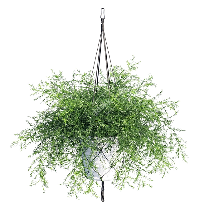 Green Polysaurus Asparagus 3D model image 5