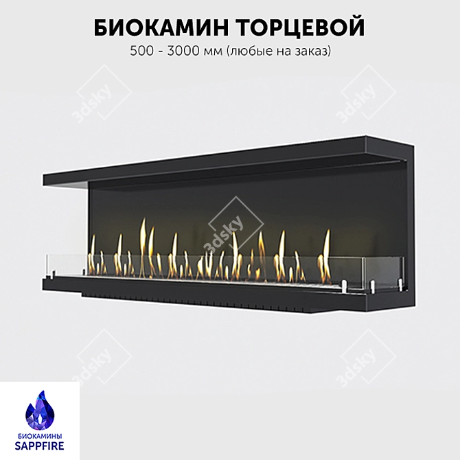SappFire: Built-in Biofireplace for Stylish Interiors 3D model image 1