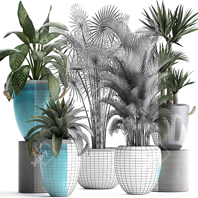 Exotic Houseplant Collection 3D model image 3