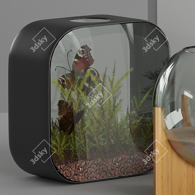 Title: PBR-Optimized Florarium for Corona Render 3D model image 3