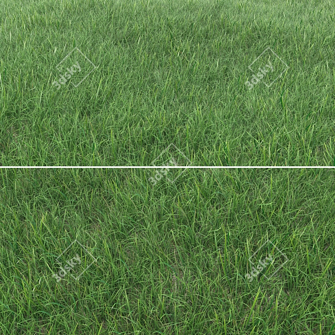 Realistic Grass Landscaping Model 3D model image 1