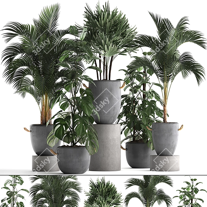 Exotic Indoor Plant Collection 3D model image 1