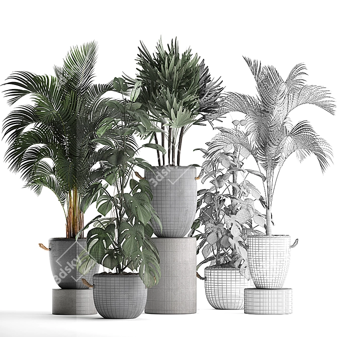 Exotic Indoor Plant Collection 3D model image 3