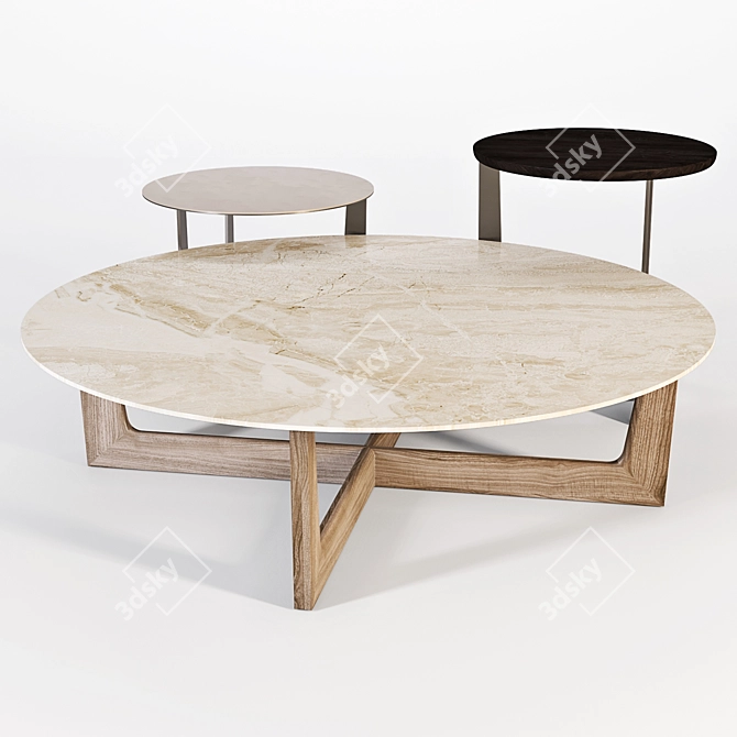Poltrona Frau Ilary Coffee Tables 3D model image 1