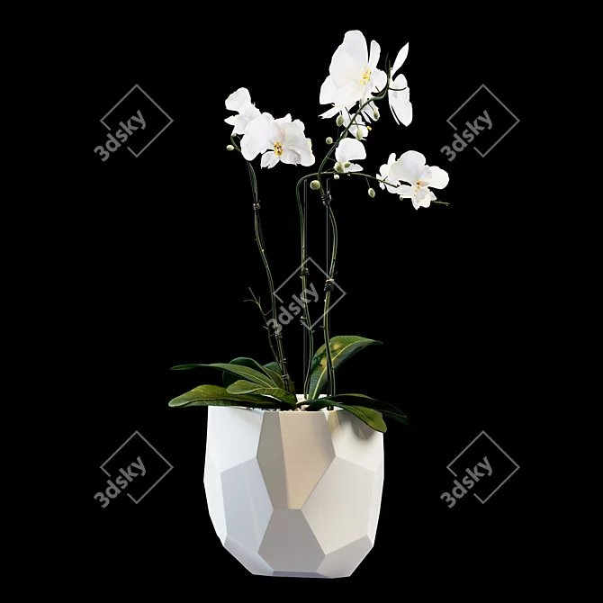 Elegant Floral Arrangement 3D model image 1