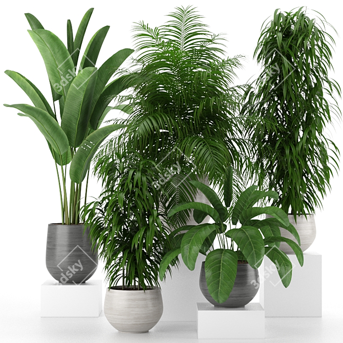 Tropical Oasis: Houseplant Collection 3D model image 1