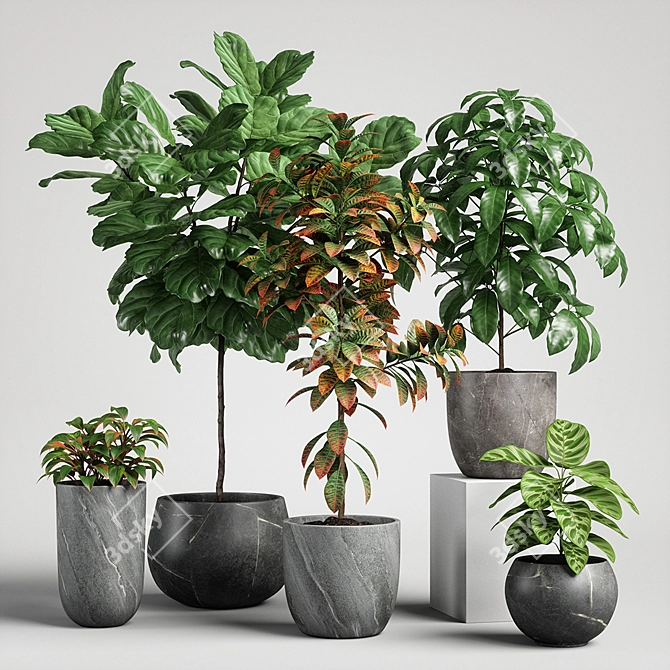 Versatile Plants Set 11 3D model image 1