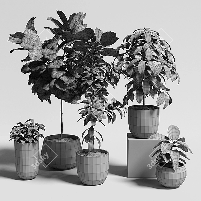 Versatile Plants Set 11 3D model image 3