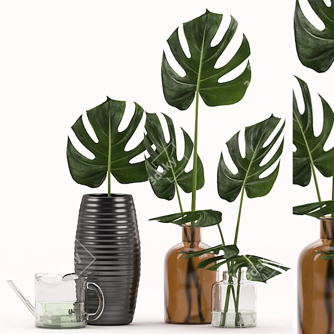 Monstera Leaf Decorative Set 3D model image 1