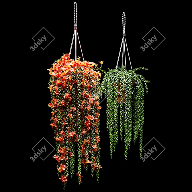 Colorful Columnea Arguta Plant Set 3D model image 1