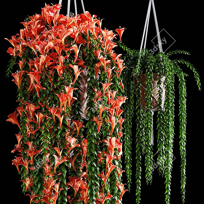 Colorful Columnea Arguta Plant Set 3D model image 2