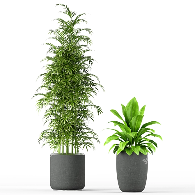 Lush Greenery Collection 211 3D model image 3
