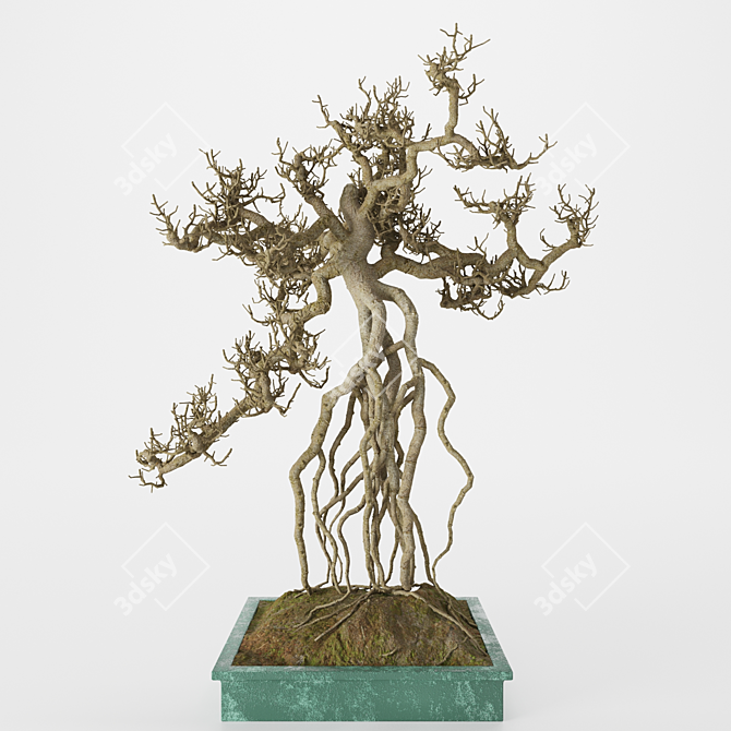 Elegant Bonsai Tree Sculpture 3D model image 1