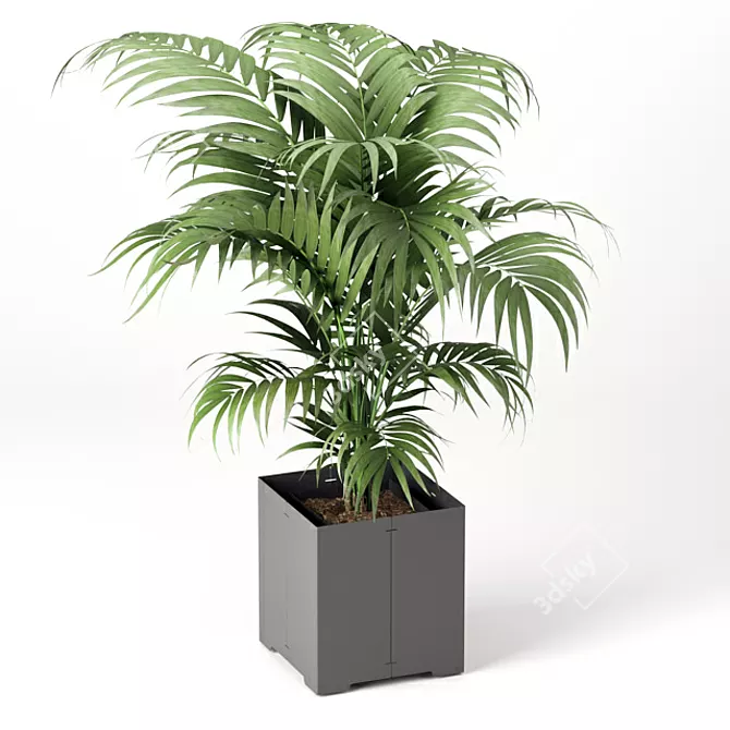 Tropical Charm: Cape Collection Palm Tree 3D model image 2