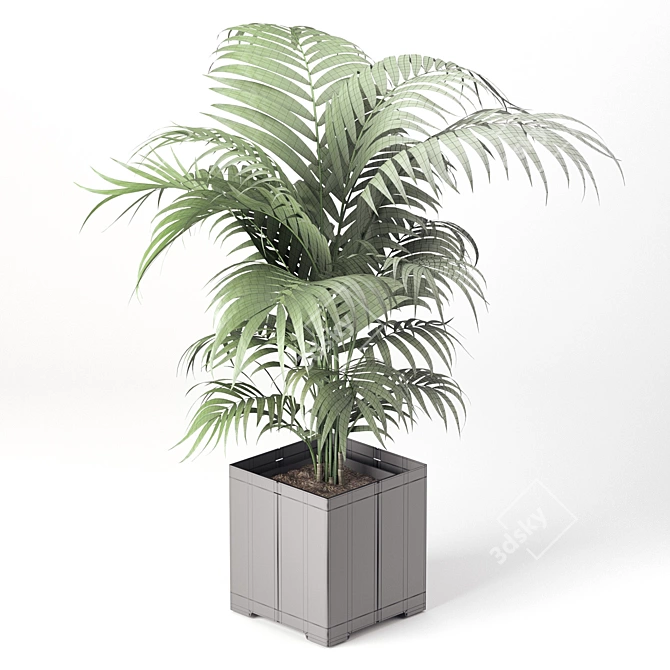 Tropical Charm: Cape Collection Palm Tree 3D model image 3