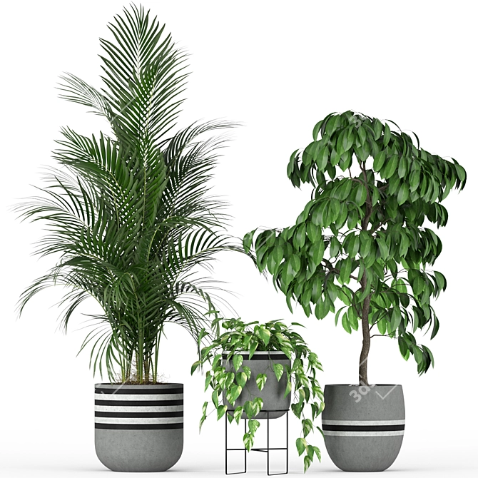 Nature's Haven: 212 Plant Collection 3D model image 2
