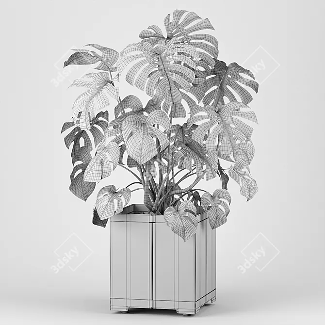 Tropical Monstera Pot Plant 3D model image 5