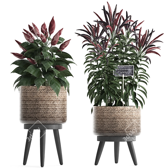 Exotic Houseplant Collection 3D model image 1