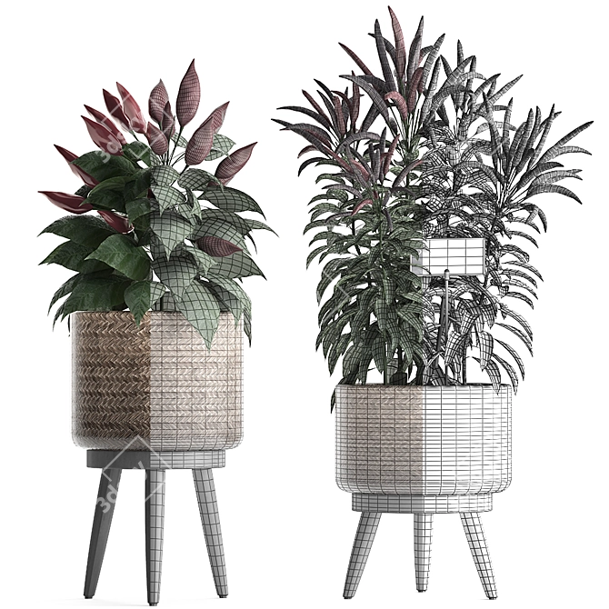 Exotic Houseplant Collection 3D model image 4